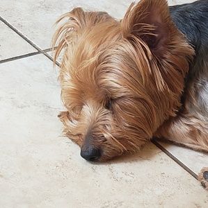 Meet your Posher, Randy